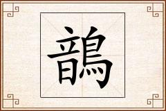 鶕怎么写