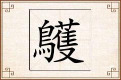 鸌怎么写