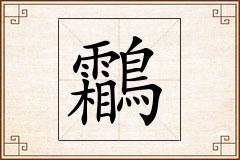 鸘怎么写