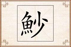 魦怎么写