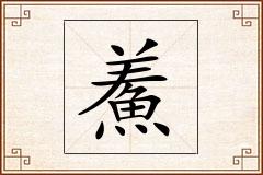 鮺怎么写