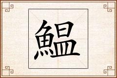 鰛怎么写
