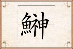 鰰怎么写