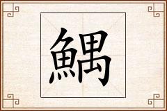 鰅怎么写
