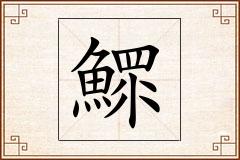 鰥怎么写