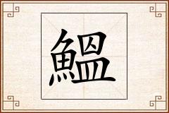 鰮怎么写
