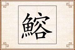 鰫怎么写