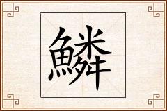鱗怎么写