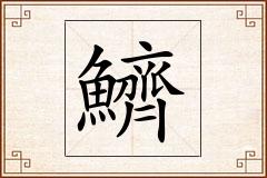 鱭怎么写