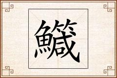鱵怎么写