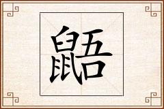 鼯怎么写
