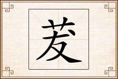 茇怎么写