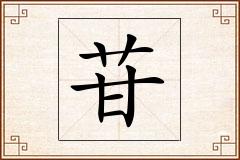 苷怎么写