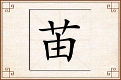 苖怎么写