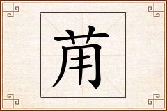 苚怎么写