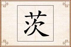 茨怎么写