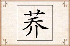 荞怎么写
