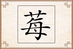 莓怎么写