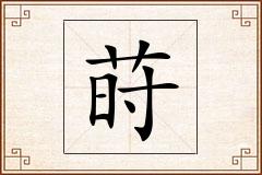 莳怎么写