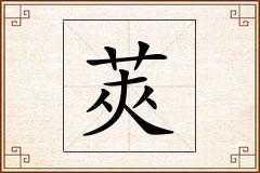 莢怎么写