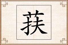 荴怎么写