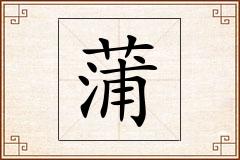 蒲怎么写