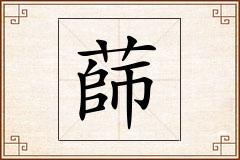 蒒怎么写