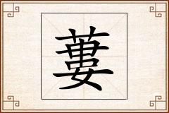 蔞怎么写