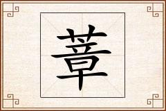 蔁怎么写