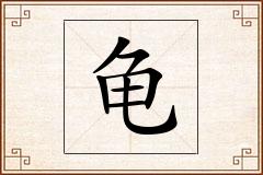 龟怎么写