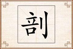 剖怎么写