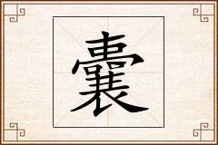 囊怎么写