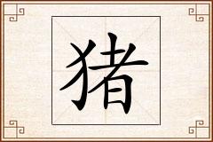 猪怎么写