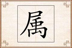 属怎么写
