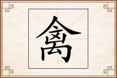 禽怎么写
