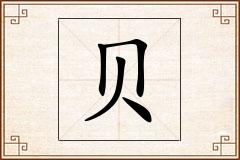 贝怎么写