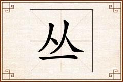 丛怎么写