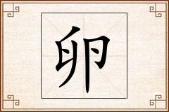 卵怎么写