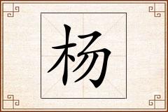 杨怎么写