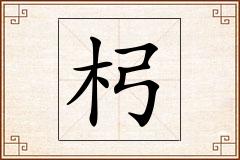 杛怎么写
