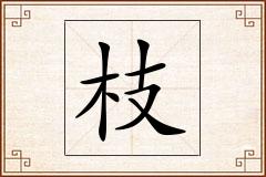 枝怎么写