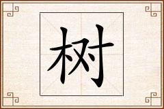 树怎么写