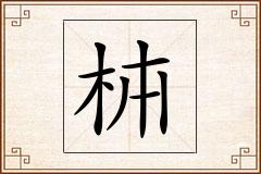 枾怎么写