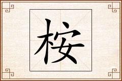 桉怎么写